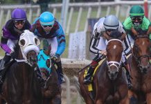 Sisal seals horse racing content agreement with XB Net Italian lottery operator Sisal has finalised an agreement with horse racing content provider XB Net for its US racing content.