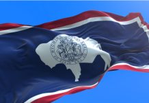 Wyoming Lottery gives over $1m to community amid daily cash-for-life launch The Wyoming Lottery has published its revenue update for Q4 2021, revealing it has transferred just over $1m to the Wyoming state for local community development.