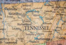 Tennessee Education Lottery approves VegasWINNERS as sports wagering vendor The Tennessee Education Lottery Corporation has announced it has authorised the approval of VegasWINNERS, a subsidiary of Winners Inc, as an official sports wagering vendor in the state.