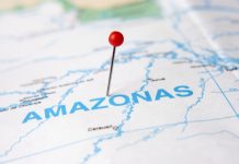 Brazilian state Amazonas ‘failed’ in launching state lottery The Brazilian state of Amazonas has abandoned plans to launch a state lottery after the tender for a license failed, following the collapse of three bids.