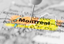 Scientific Games drives forward green agenda by tree planting exercise in Montreal Scientific Games has joined a gree citywide initiative in Montreal, planting 75 trees at its instant game production centre in the city.