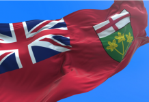 Neccton brings mentor RG software to Ontario following SkillOnNet launch Data science firm Neccton has expanded its mentor software into the Canadian province of Ontario after a key operator went live in the jurisdiction
