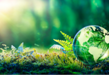 IGT ranks among elite as sustainability programme awarded EcoVadis gold medal IGT