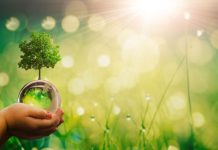 European Lotteries strengthens calls for environmental responsibility European Lotteries has urged its members to increase their action towards helping the environment and acting sustainably