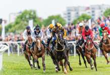 FDJ in exclusive talks to acquire ZEturb Group FDJ in exclusive talks to acquire horse racing brand ZEturb Group