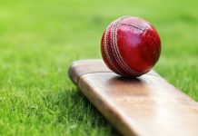 Cricketer Dale Steyn joins Win Millions Lotto in conservation project Cricketer Dale Steyn joins Win Millions Lotto in conservation project
