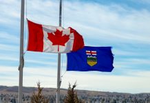 PlayAlberta enlists BtoBet for sportsbook growth plans PlayAlberta enlists BtoBet for sportsbook growth plans