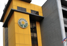PAGCOR elects Wilma Eisma to President
