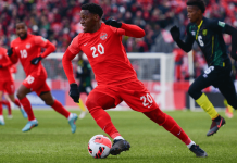 IBIA initiates integrity programme with PFA Canada