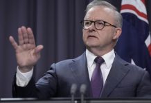PM Anthony Albanese faces pressure to settle Gambling Advertising laws