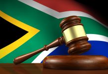 Former chair of SA lottery regulator attempts to derail investigations Lawsuit filed against probe into South Africa lottery regulator