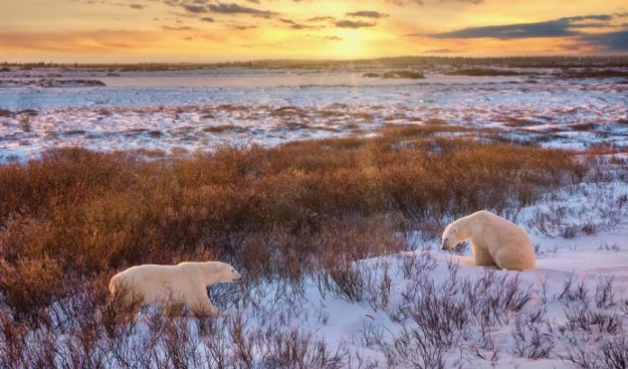 A photo of Manitoba