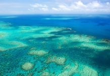 Two more senior Allwyn execs join Australia’s Lottery Corporation Great Barrier Reef, Australia