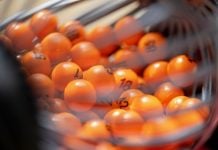 Society lotteries will be excluded from the UK government’s plans to hike licence fees by 25%. Lottery balls being spun